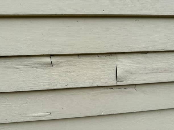 Trusted Edisto, SC Junk Removal Experts